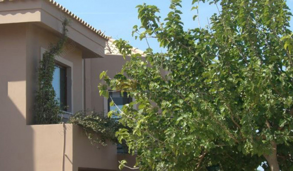 Εξωτερική όψη - Outdoor view